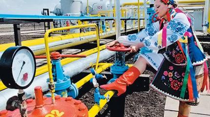 У Украины обнаружились газы